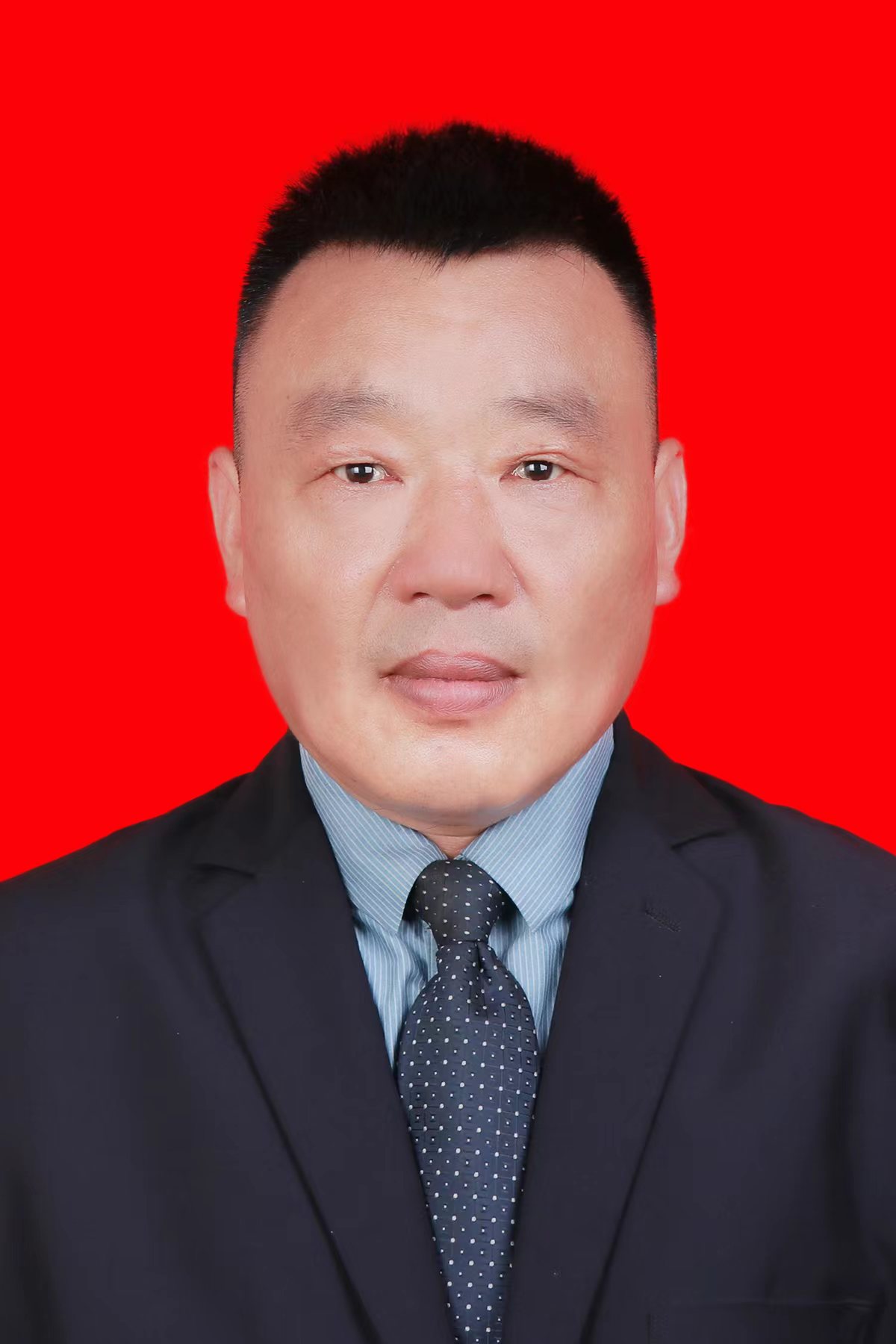 副会长     陈四清